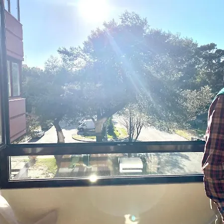 Joao De Caparica * קוסטה דה קפאריקה